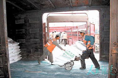 春耕搶運圖 鐵路貨場上的“蓋布守護者”